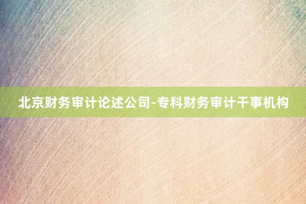 北京财务审计论述公司-专科财务审计干事机构