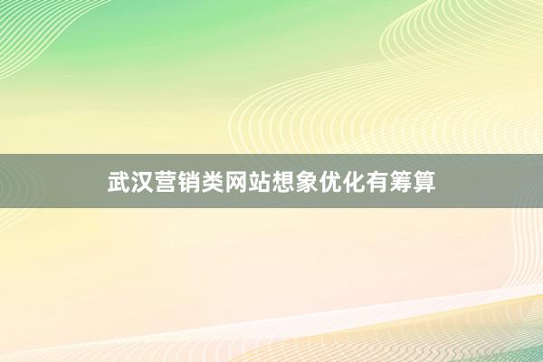 武汉营销类网站想象优化有筹算