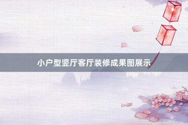 小户型竖厅客厅装修成果图展示
